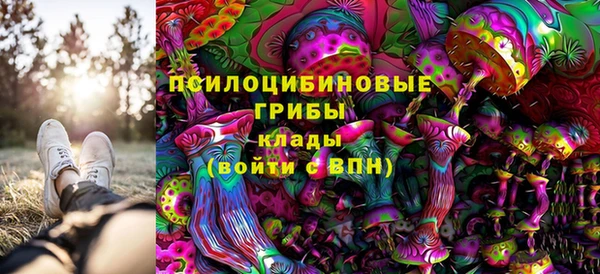 дурь Армянск