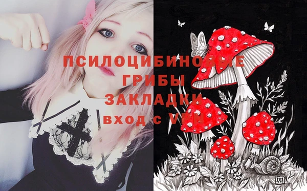 дурь Армянск